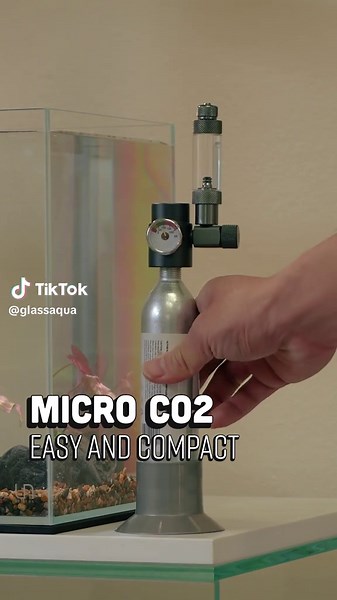 Compact CO2 Setup for Nano Planted Aquariums