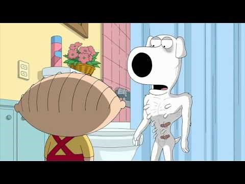 Family Guy Brian Becomes a Runner YouTube 720p
