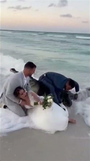 Crocodile Crashes Beach Wedding, Can the Bride Escape