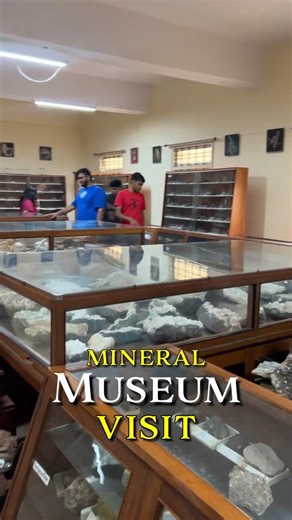 Inside a Mineral Museum | Gemology Course Practical Learning