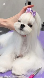 107K views · 649 reactions | CHILI ️ ❤️ Takie stylizacje nie...