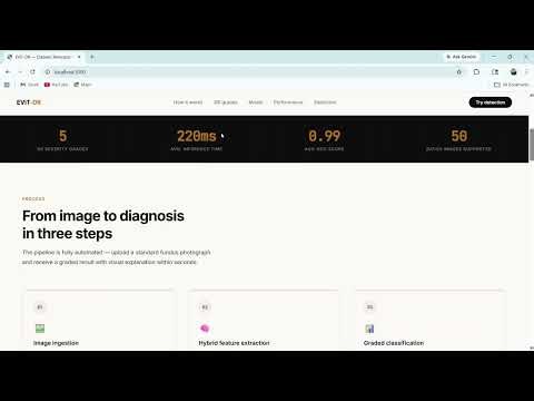 Diabetic Retinopathy Prediction using EVIT-DR