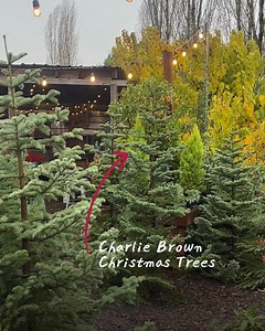 Crowley House Flower Farm & Studio on Reels | Facebook