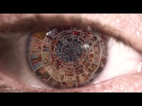 Wild Child - Living Tree OFFICIAL