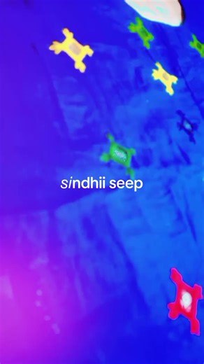 Discover the Beauty of Sindhi Seep