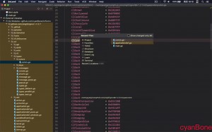 govcl之form,更多视频请访问https://video.0-w.cc