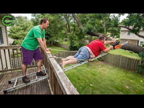 Idiots With Chainsaws: Tree Cutting Fails | Extreme Dangerous Logging Truck Fails #40