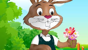 Rabbit Dress Up