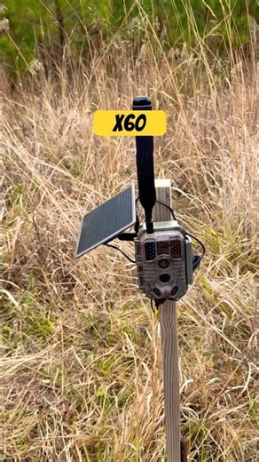 The BEST Trail Camera You’ve Never Heard Of!! #hunting #trailcamera