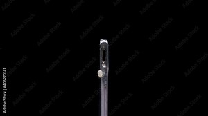 Flour mite (acari) Acarus sp. crawls on a needle, family Acaridae. The pest damages: grain, dried fruits and vegetables, cheese, flour products.