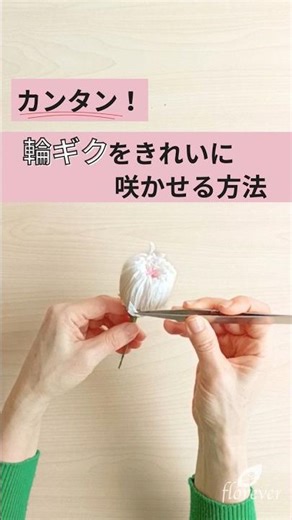 カンタン！輪ギクをきれいに咲かせる方法 #プリザーブドフラワー #ハンドメイド #作り方動画