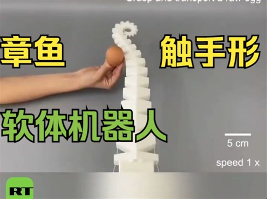 中国研发出章鱼触手形软体机器人