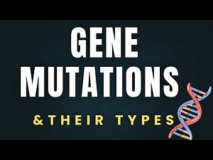 Gene mutations and their types | Frameshift & Point gene mutations