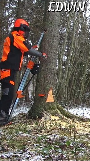Tree Felling Tool