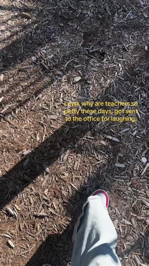 Understanding Teacher Behavior in Schools Today