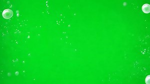 Download Floating bubbles rising against a vibrant green background for free