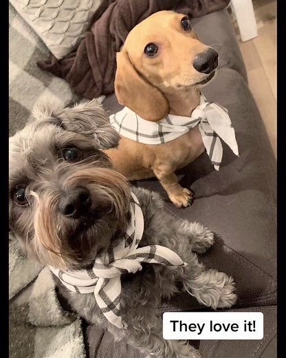 fabulousdiy on TikTok