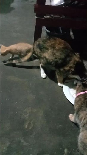 one plus three equals four.