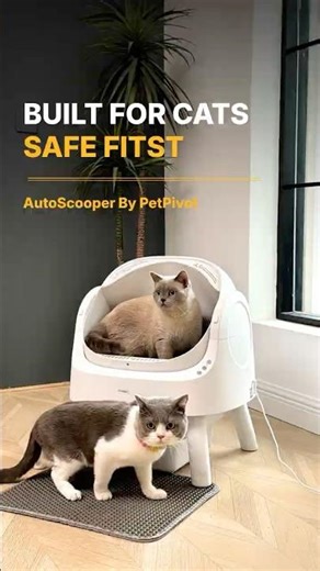 Cat Safety First: How Our Sensors Work