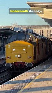5.5K views · 190 reactions | The British Rail Class 37 — A True...