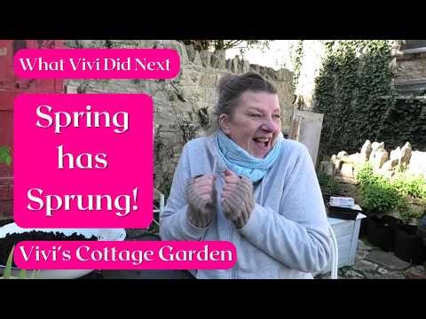 Vivi's Cottage Garden: Spring has sprung