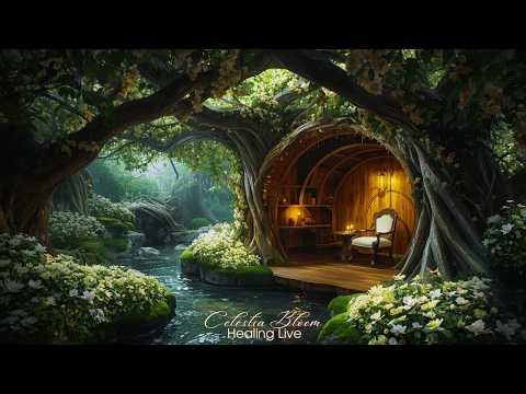 Hidden Elven Forest Cottage LIVE 24/7 🌿🏡 | Relaxing Elf Music & Gentle Waterfall Nature Ambience