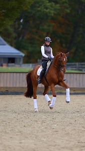 Dressage horse for sale: Meet Finchhatton! This eye-catching 16hh gelding is the ideal partner for a serious Young Rider who wants to be competitive in the small tour. 🧠Peppy and expressive 11 yr old gelding 🏅 Consistent, competitive and reliable with multiple wins in Inter I 🌟 Great work ethic to carry your success down the centerline 🦄 Beautiful, flashy gaits in a small package 📍 Located in Wellington, FL USA Finchhatton is the perfect blend of talent, education, and heart. He is looking 