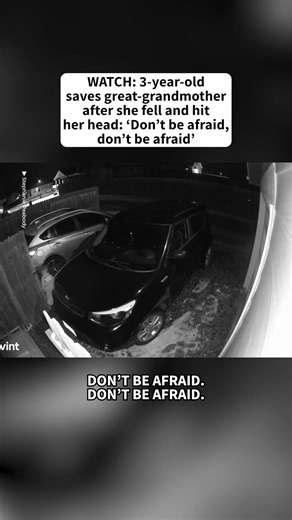 Bridger Saves Great-Grandma: A Story of Courage