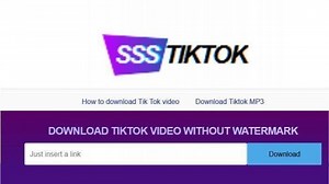 SSSTikTok, Aplikasi Download Video TikTok tanpa Watermark Gratis, Bisa Juga Lewat Browser - Tribunkaltim.co