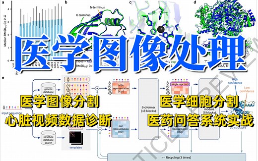 2024最该学的医学图像处理教程！图像分割、细胞分割、心脏视频数据诊断、医药问答系统实战一次性讲解透彻！——人工智能|计算机视觉