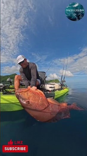Monster red snapper caught and released 😱 #fishing #viral #trending #fish #shorts #viralvideo #fypシ