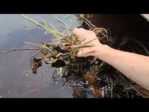 post 10 POV Unclogging And Surrounding Area Updates With Road Trimming Crews