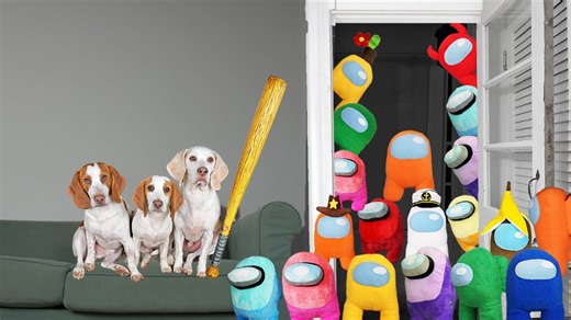 Pets take on among us crewmates in playful skit