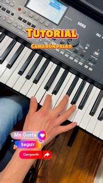 Modo Tutorial - Camarón Pelao #elcoyotemusic#moviditas#teclados #Bailar #musicaparabailar