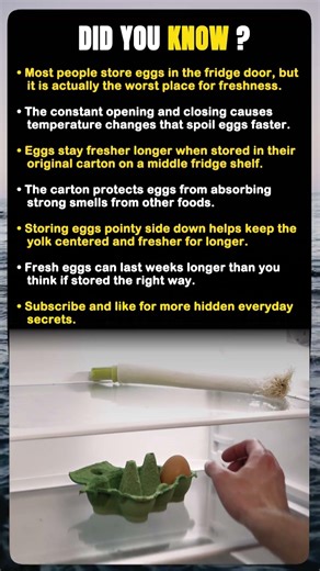 You’ve Been Storing Eggs Wrong Your Whole Life
