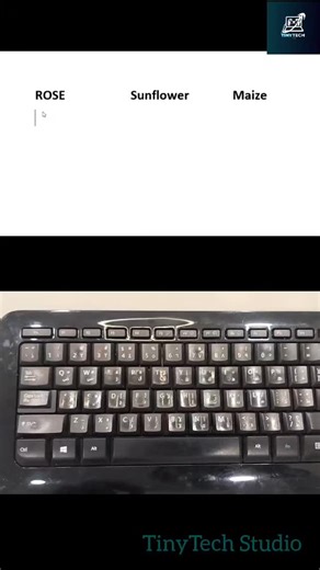 TinyTech Studio on Instagram: "🌹🌻🌽 MS Word Emoji Shortcut Trick | No Copy-Paste Needed! Type flowers instantly in MS Word using these hidden emoji shortcuts! 🌹 Rose → 1F339 + Alt + X 🌻 Sunflower → 1F33B + Alt + X 🌽 Maize / Corn → 1F33D + Alt + X Try it now — it works like magic ✨💻 #MSWordTips #EmojiShortcut #WordHacks #TechReels #OfficeShortcuts #KeyboardShortcuts #ProductivityTips #LearnTech #MSOffice #wordemoji #cheatsheets #excel #exceltips #exceltricks #googlesheets #spreadsheet #acco