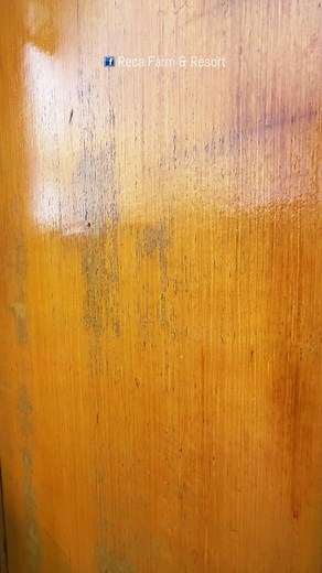 73 reactions · 19 shares | Cabin Private for Couple <3 #fyp #fypシ #recafarmandresort | RECA Farm and Resort | Facebook