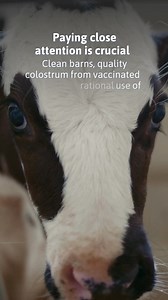 6.8K reactions · 109 shares | Neonatal diarrhea is one of the main...