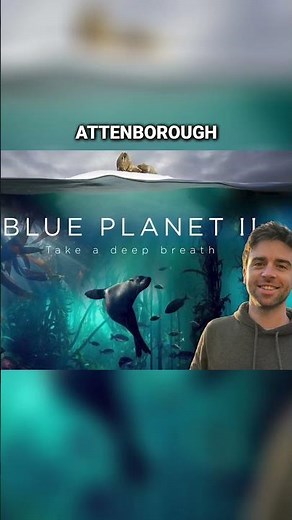 £10,000 for Blue Planet 2 Drone Footage with David Attenborough