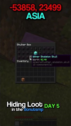 Hiding Loot In DonutSMP Day 5! #drdonutt #donuts #donutsmp #freeloot #euwest #europe #nawest #north