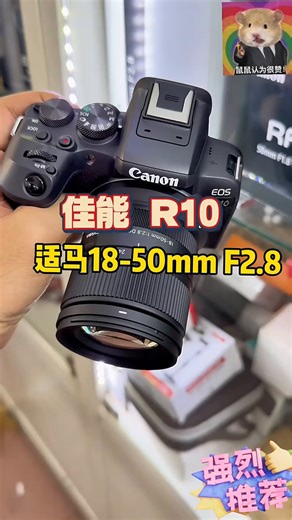 佳能（Canon）佳能R10微单相机 4K数码高清入门级家用旅游高速连拍vlog视频拍摄 R10全新官方单机身 官方标配【电池+肩带+座充】