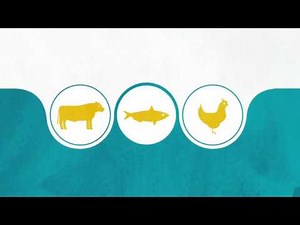 Animal Nutrition Innovation