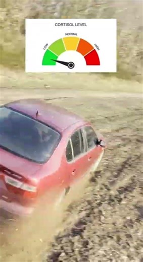 #dc #fyp #cortisol #high #low #dance #virales #goviral #viral #automobile #crash #fast