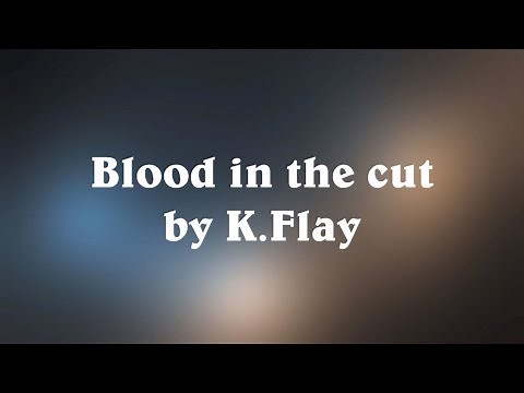 Blood in the Cut - K.Flay (Lyrics)