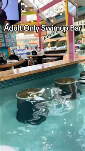 Wisconsin Dells getaway!