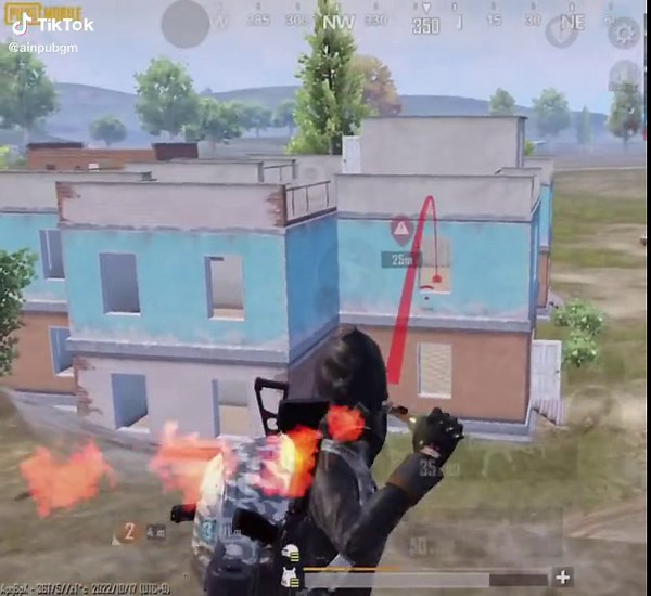 #коктейлмолотова #pubgm #сжечьдотла #pubgmobilemoments