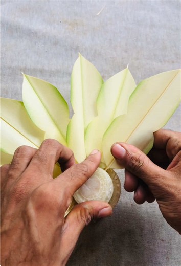 අලුත් මලක් කරන්න සම්පූර්ණ මගපෙන්වීම