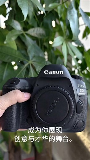 佳能5D4实拍体验高画质让每一刻都惊艳