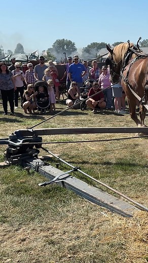 3.3M views · 10K reactions | Straw that came out of the threshing machine is made into bales on a vintage stationary hay press during the 2023 Old Thresher's Reunion in Mt Pleasant, Iowa. | Rural Heritage Magazine | Facebook