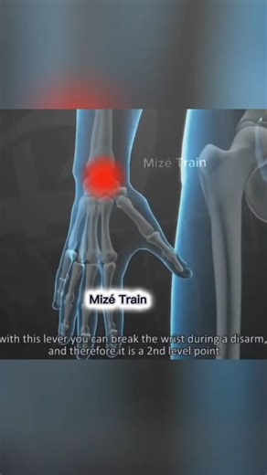 Military Techniques Self-Defense Gun